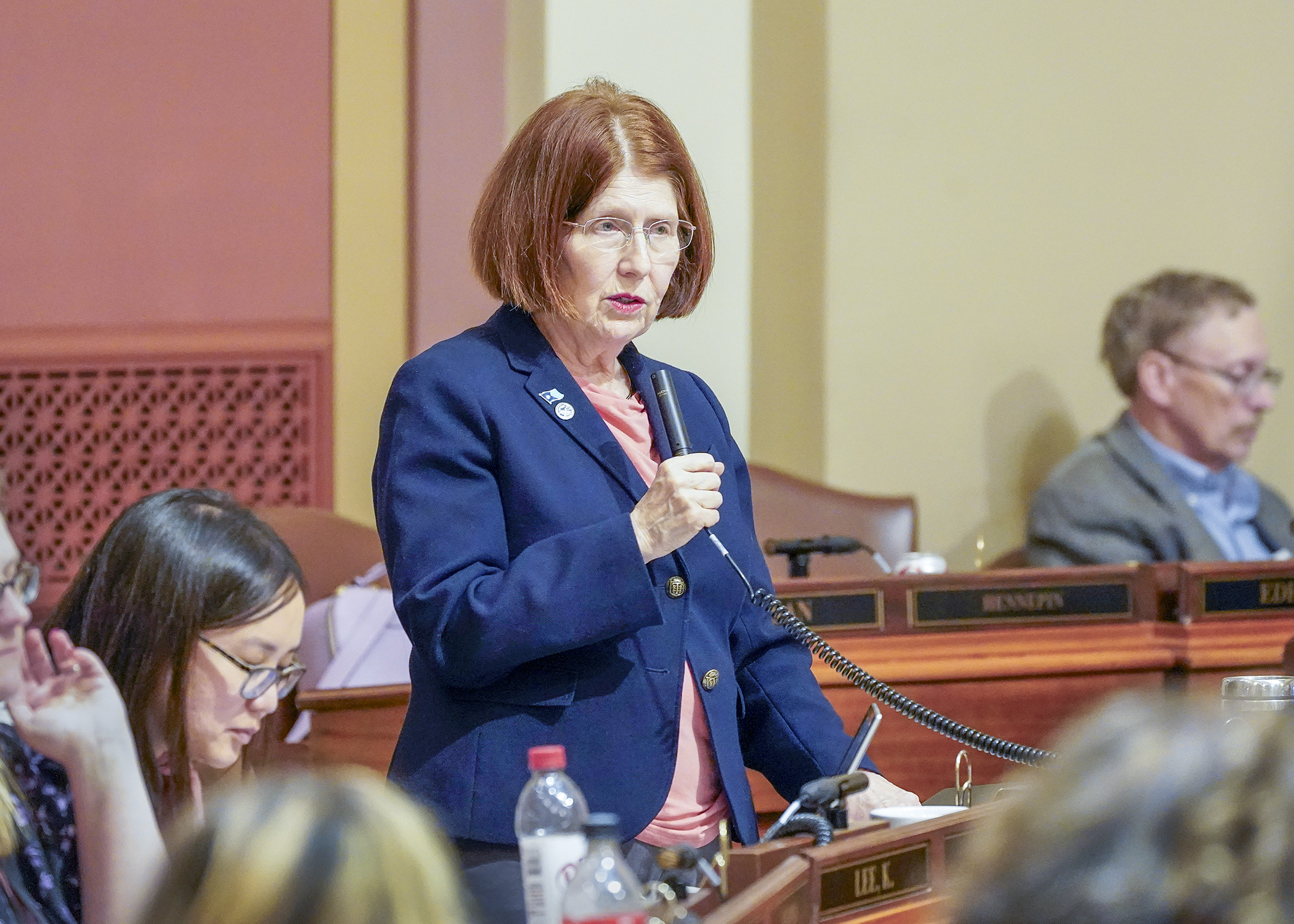 Rep. Tina Liebling presents the health and human services supplemental budget bill on the House Floor May 9. (Photo by Andrew VonBank)